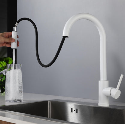 Kitchen Pull-out Faucet Sink Basin Sink Rotating Kitchen Faucet