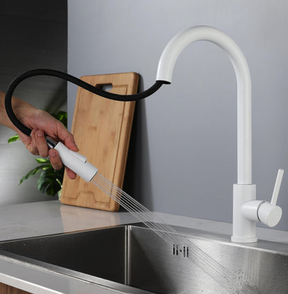 Kitchen Pull-out Faucet Sink Basin Sink Rotating Kitchen Faucet